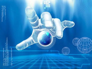 OEM独立部署系统开发与租赁服务 企业数字化转型的灵活之选