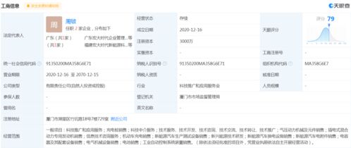 宁德时代合资公司布局充电服务，加速新能源汽车基础设施发展